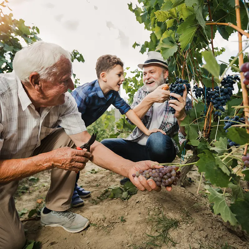 Succession planning prerogatives for family farms: Ensuring a smooth transition to the next generation